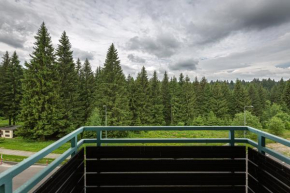 Cold Mountain Apartment in Silver Mountain Resort